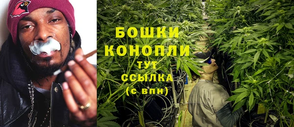 ПСИЛОЦИБИНОВЫЕ ГРИБЫ Армянск