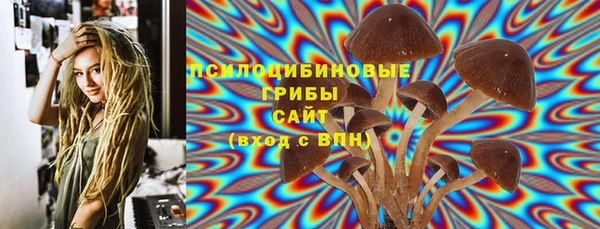 прущие крисы Арсеньев