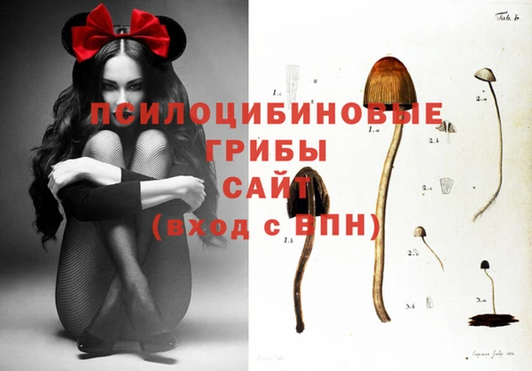 ПСИЛОЦИБИНОВЫЕ ГРИБЫ Армянск