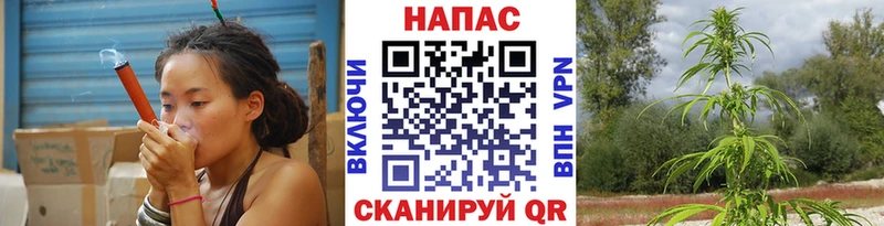 мега ссылки  Асино  Конопля тримм  закладка 